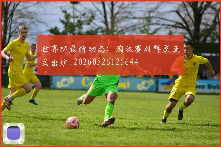 世界杯最新动态:淘汰赛对阵图正式出炉_20260526125644